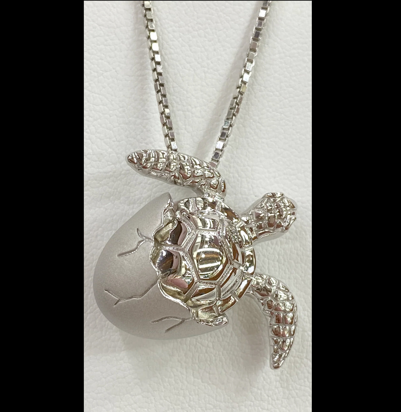 ADORABLE SHIMMERING SILVER HATCHING BABY TURTLE